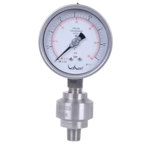 Diaphragm Seal  Gauge